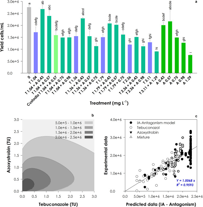 Recommended rates of azoxystrobin and tebuconazole seem to be environmentally safe but ineffective against target fungi.