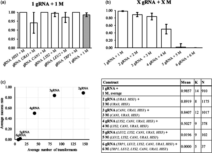 Construction and evaluation of gRNA arrays for multiplex CRISPR-Cas9.