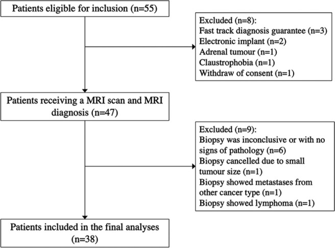 Multiparametric magnetic resonance imaging for characterizing renal tumors: A validation study of the algorithm presented by Cornelis <i>et al</i>.