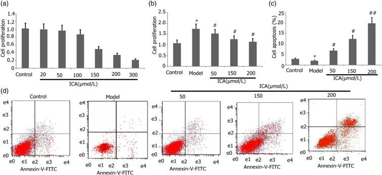 Effect of icariin on the H<sub>2</sub>O<sub>2</sub>-induced proliferation of mouse airway smooth muscle cells through miR-138-5p regulating SIRT1/AMPK/PGC-1α axis.