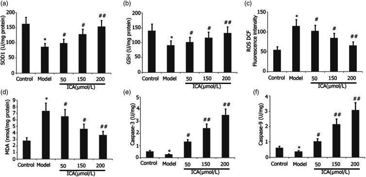 Effect of icariin on the H<sub>2</sub>O<sub>2</sub>-induced proliferation of mouse airway smooth muscle cells through miR-138-5p regulating SIRT1/AMPK/PGC-1α axis.