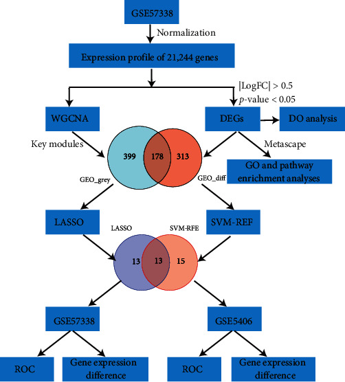 Identification of Biomarkers Associated with Heart Failure Caused by Idiopathic Dilated Cardiomyopathy Using WGCNA and Machine Learning Algorithms.