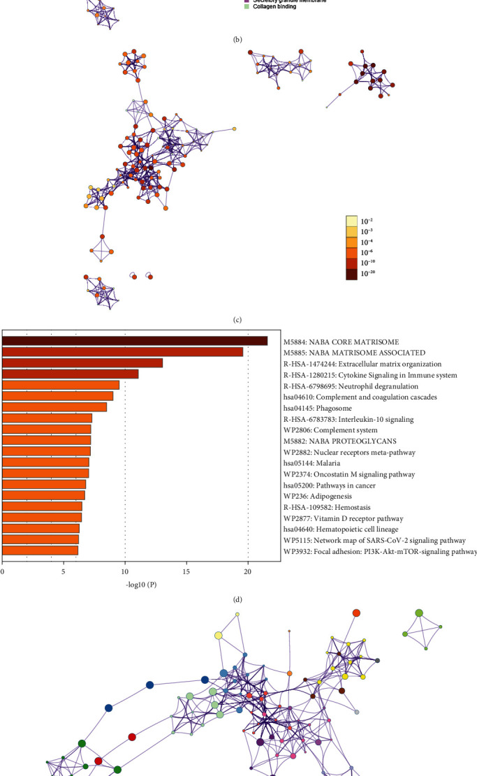 Identification of Biomarkers Associated with Heart Failure Caused by Idiopathic Dilated Cardiomyopathy Using WGCNA and Machine Learning Algorithms.