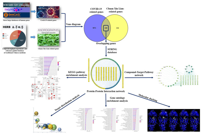 The Potential of Ameliorating COVID-19 and Sequelae From <i>Andrographis paniculata</i> via Bioinformatics.