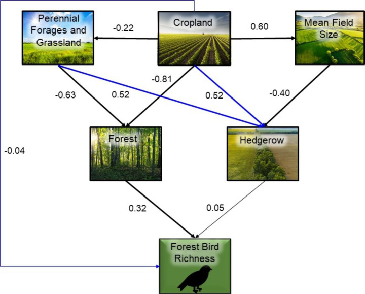 Direct and indirect effects of agricultural land cover on avian biodiversity in eastern Canada.