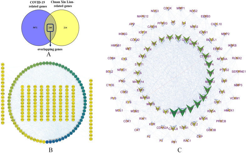 The Potential of Ameliorating COVID-19 and Sequelae From <i>Andrographis paniculata</i> via Bioinformatics.