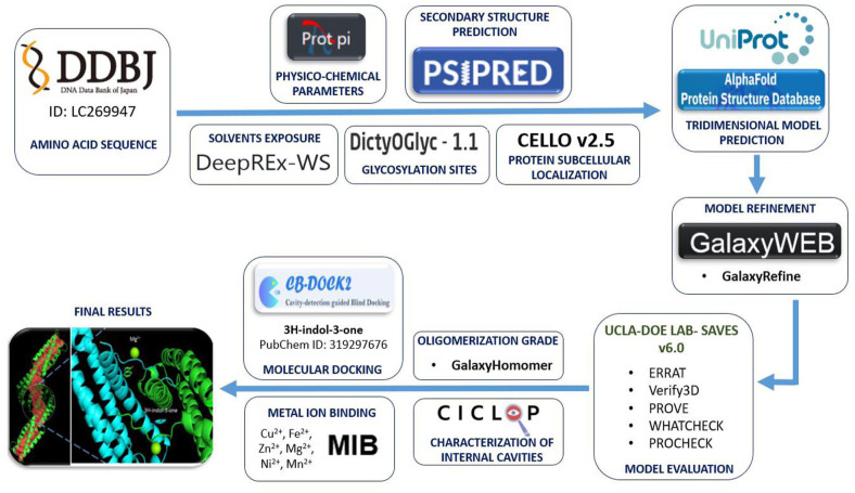 In Silico Characterization of the Physicochemical and Biological Properties of the Pink (<i>Pleurotus djamor</i> var. <i>salmoneostramineus</i>) Oyster Mushroom Chromoprotein.