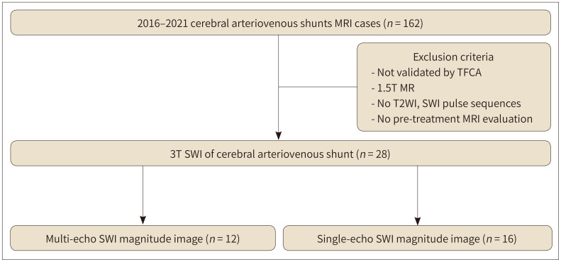 Comparison of Single- and Multi-Echo Susceptibility-Weighted Imaging in Detecting Cerebral Arteriovenous Shunts: A Preliminary Study.