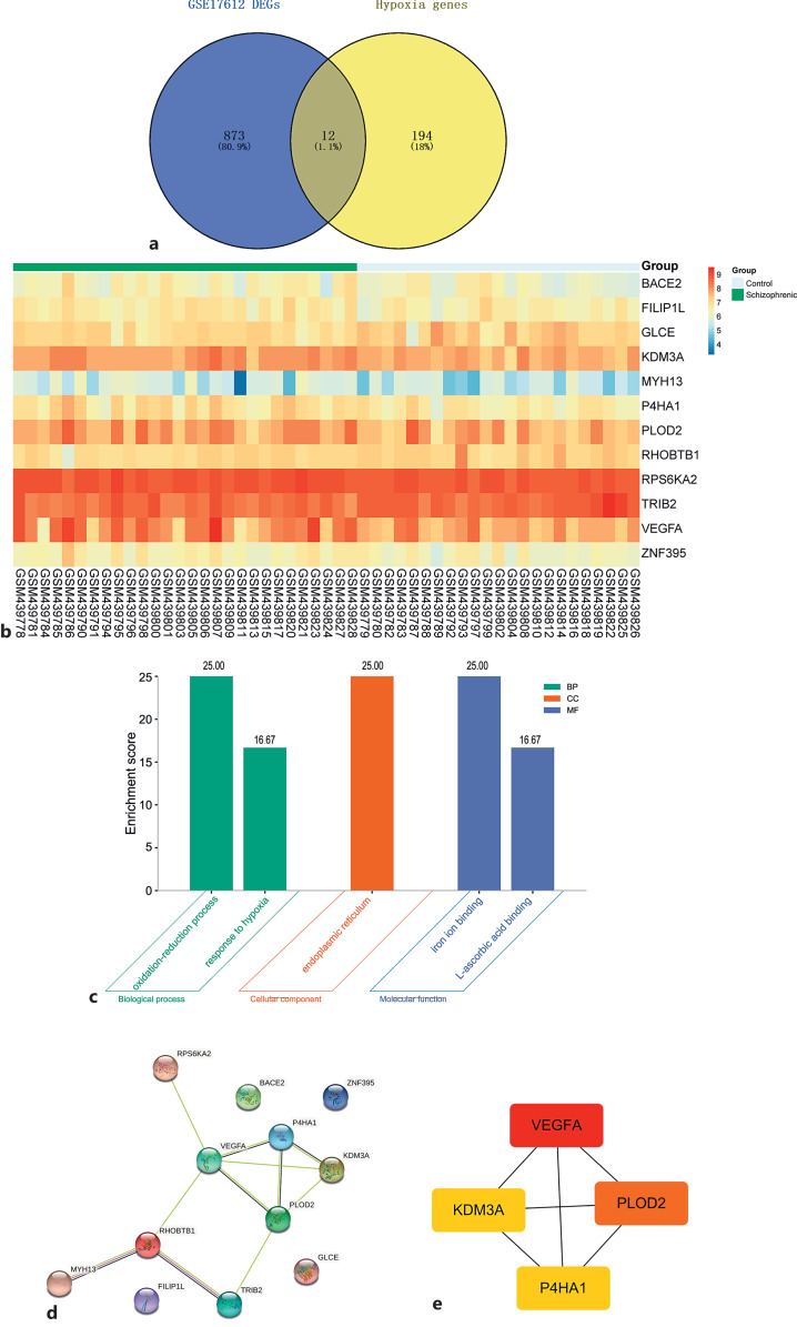 Identification of a Hypoxia-Related Signature as Candidate Detector for Schizophrenia Based on Genome-Wide Gene Expression.