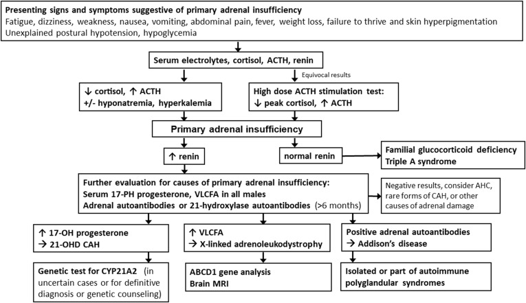 Current Screening Strategies for the Diagnosis of Adrenal Insufficiency in Children.