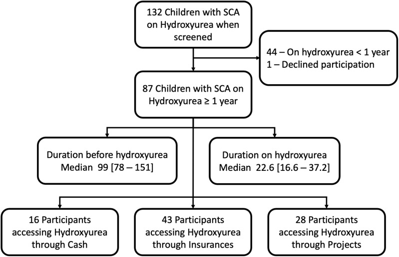 Outcomes of Hydroxyurea Accessed via Various Means and Barriers Affecting Its Usage Among Children with Sickle Cell Anaemia in North-Western Tanzania.