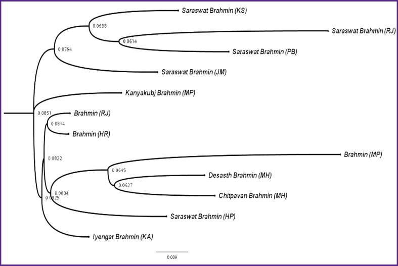 Genetic Diversity of Autosomal STR Markers in the Brahmin Population of Rajasthan and Haryana: Significance in Population and Forensic Genetics.