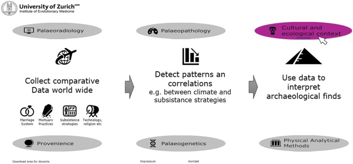 The <i>Mummy Explorer</i>-a self-regulated open-access online teaching tool.