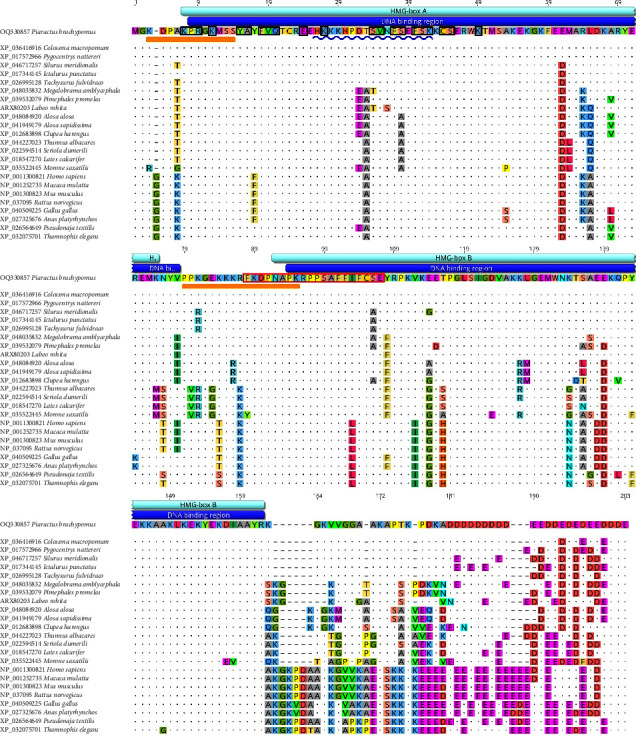 Molecular Characterization of High Mobility Group Box 1a (<i>HMGB1a</i>) Gene in Red-Bellied Pacu, <i>Piaractus brachypomus</i>.