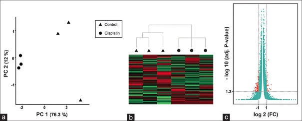 Cisplatin-Resistant Ovarian Cancer Cells Reveal a Polyploid Phenotype with Remarkable Activation of Nuclear Processes.