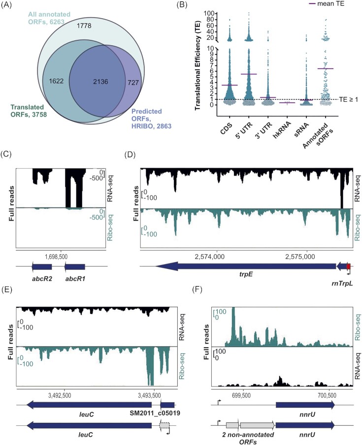 Unraveling the small proteome of the plant symbiont <i>Sinorhizobium meliloti</i> by ribosome profiling and proteogenomics.