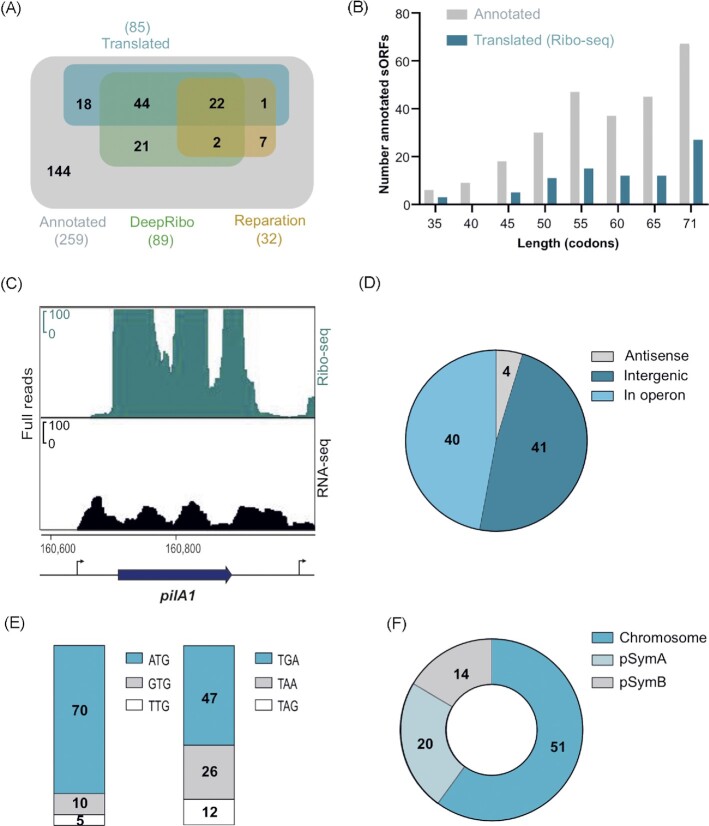 Unraveling the small proteome of the plant symbiont <i>Sinorhizobium meliloti</i> by ribosome profiling and proteogenomics.