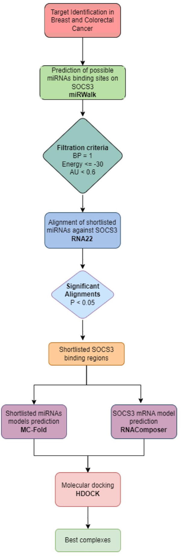 MicroRNAs Regulate Tumorigenesis by Downregulating SOCS3 Expression: An <i>In silico</i> Approach.