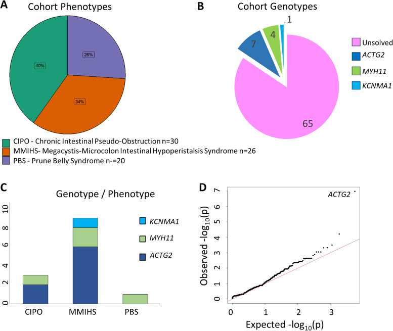 Use of whole genome sequencing to determine the genetic basis of visceral myopathies including Prune Belly syndrome.