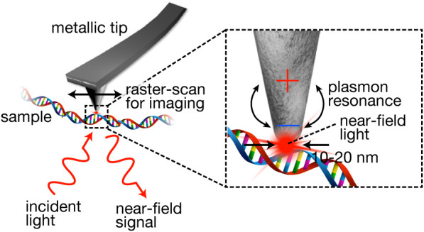 Near-field optical microscopy toward its applications for biological studies.