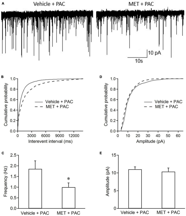 Metformin inhibits spontaneous excitatory postsynaptic currents in spinal dorsal cord neurons from paclitaxel-treated rats.