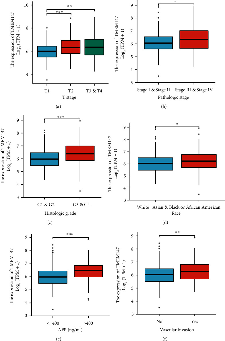 TMEM147 Correlates with Immune Infiltration and Serve as a Potential Prognostic Biomarker in Hepatocellular Carcinoma.