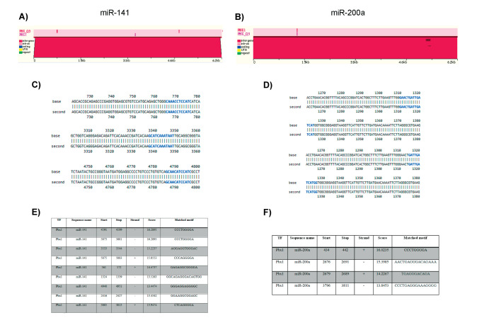 The PBX1/miR-141-miR-200a/EGR2/SOCS3 Axis; Integrative Analysis of Interaction Networks to Discover the Possible Mechanism of MiR-141 and MiR-200a-Mediated Th17 Cell Differentiation.