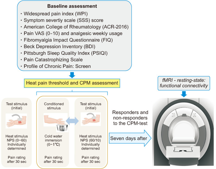 Primary somatosensory cortex and periaqueductal gray functional connectivity as a marker of the dysfunction of the descending pain modulatory system in fibromyalgia.