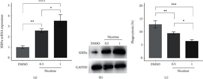 Nicotine Suppresses Phagocytic Ability of Macrophages by Regulating the miR-296-3p-SIRP<i>α</i> Axis.