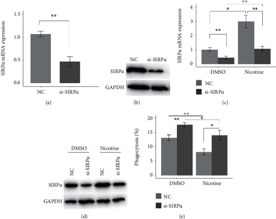 Nicotine Suppresses Phagocytic Ability of Macrophages by Regulating the miR-296-3p-SIRP<i>α</i> Axis.