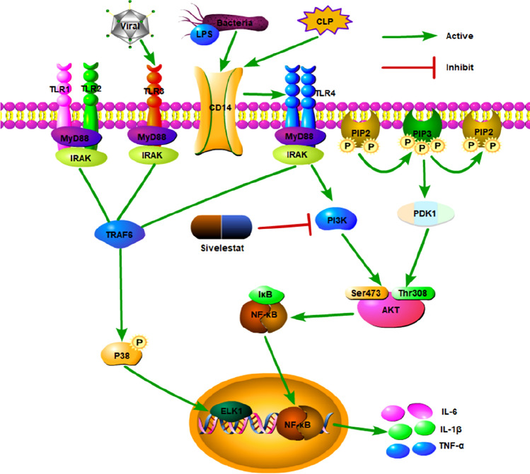 Clinical Utility of the Sivelestat for the Treatment of ALI/ARDS: Moving on in the Controversy?