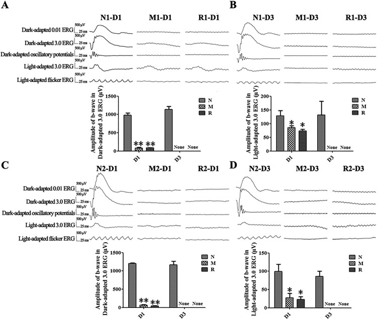 The impacts of resveratrol on the retinal degeneration in a rat model of retinitis pigmentosa induced by alkylation: an in-vivo study.