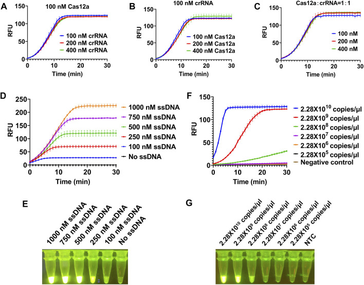 On-site and visual detection of sorghum mosaic virus and rice stripe mosaic virus based on reverse transcription-recombinase-aided amplification and CRISPR/Cas12a.