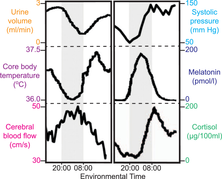 The Mammalian Circadian Time-Keeping System.