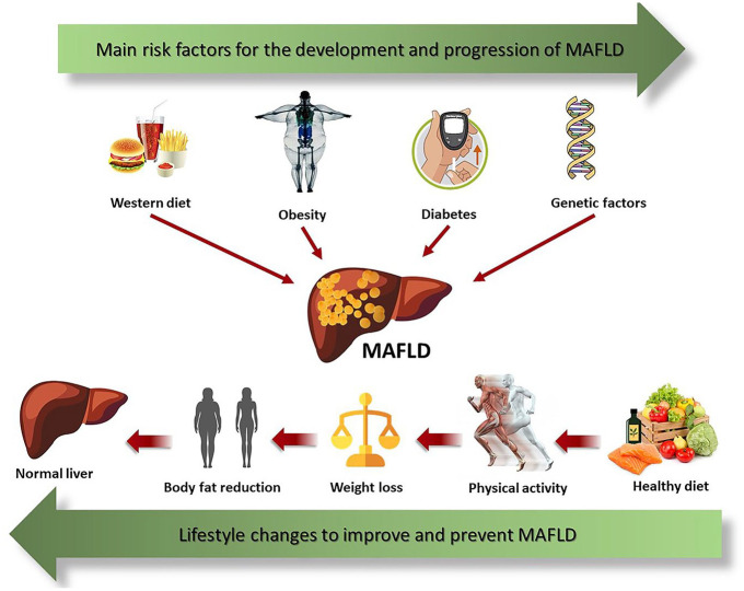 Non-pharmacological management options for MAFLD: a practical guide.