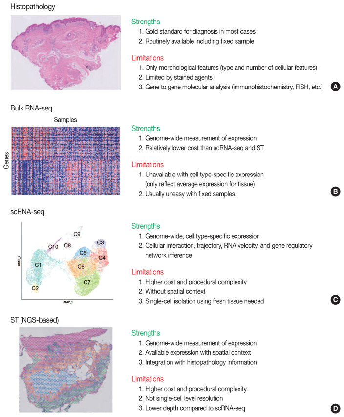 Single-cell and spatial sequencing application in pathology.