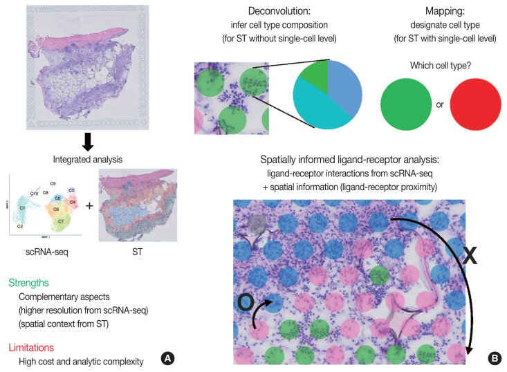 Single-cell and spatial sequencing application in pathology.