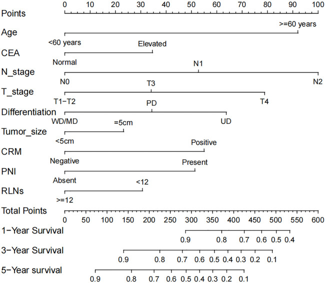 Development and validation of a prognostic nomogram for rectal cancer patients who underwent surgical resection.