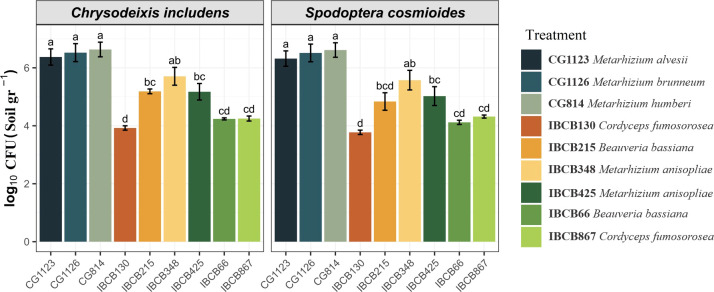 Negative effects on the development of <i>Chrysodeixis includens</i> and <i>Spodoptera cosmioides</i> fed by peanut plants inoculated with entomopathogenic fungi.