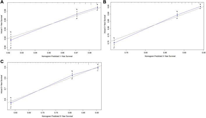 Development and validation of a prognostic nomogram for rectal cancer patients who underwent surgical resection.