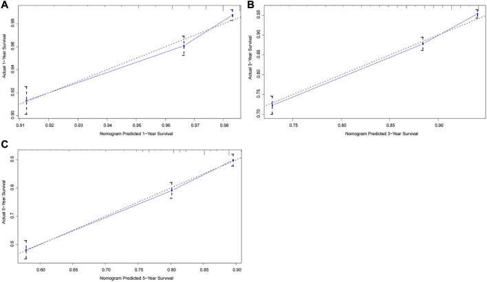 Development and validation of a prognostic nomogram for rectal cancer patients who underwent surgical resection.