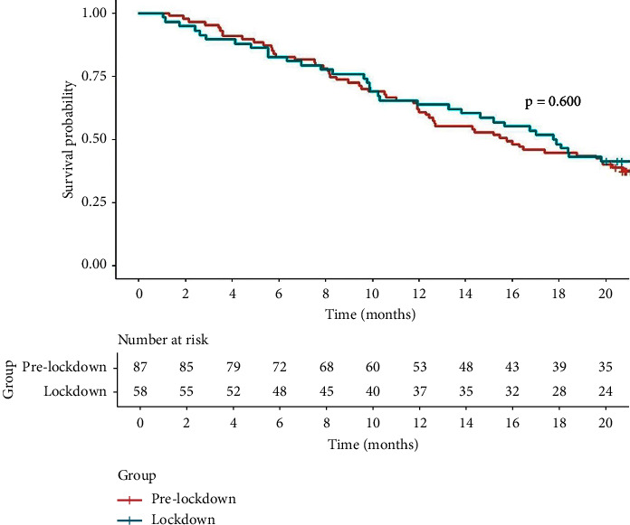 Effect of COVID-19 Pandemic-Related Delays in Chemoembolization on the Survival of Patients with Hepatocellular Carcinoma.