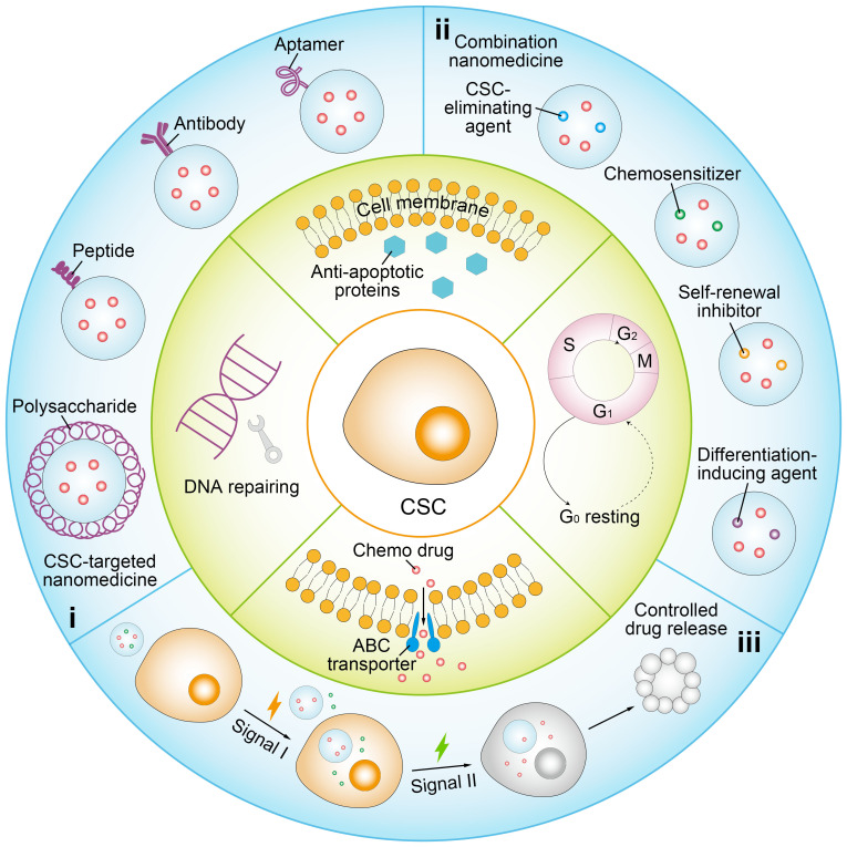 Nanomedicine strategies to counteract cancer stemness and chemoresistance.