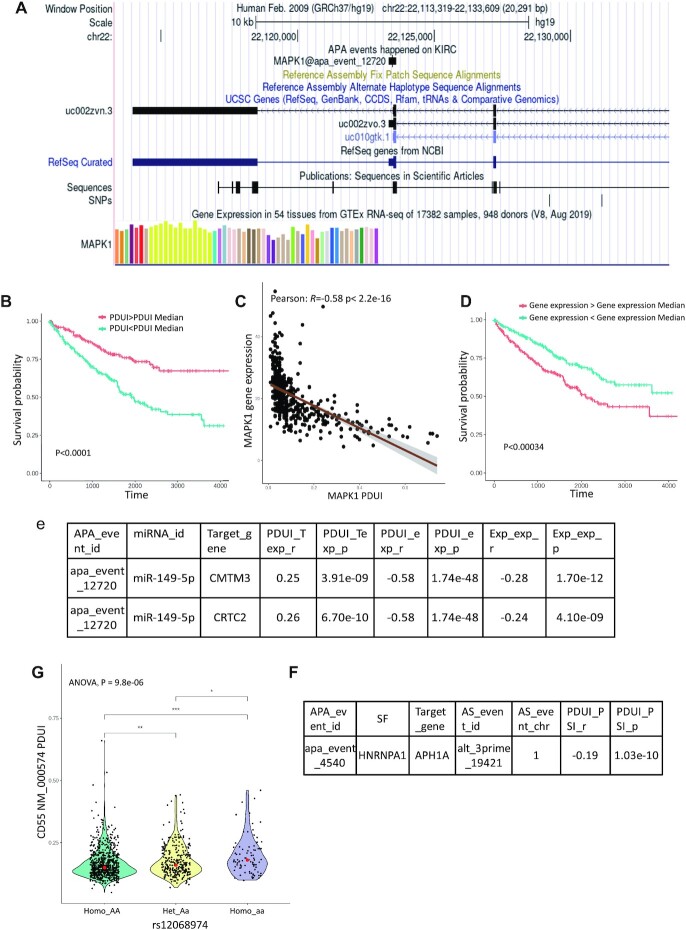 CAFuncAPA: a knowledgebase for systematic functional annotations of APA events in human cancers.