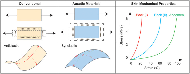 The rise of mechanical metamaterials: Auxetic constructs for skin wound healing.