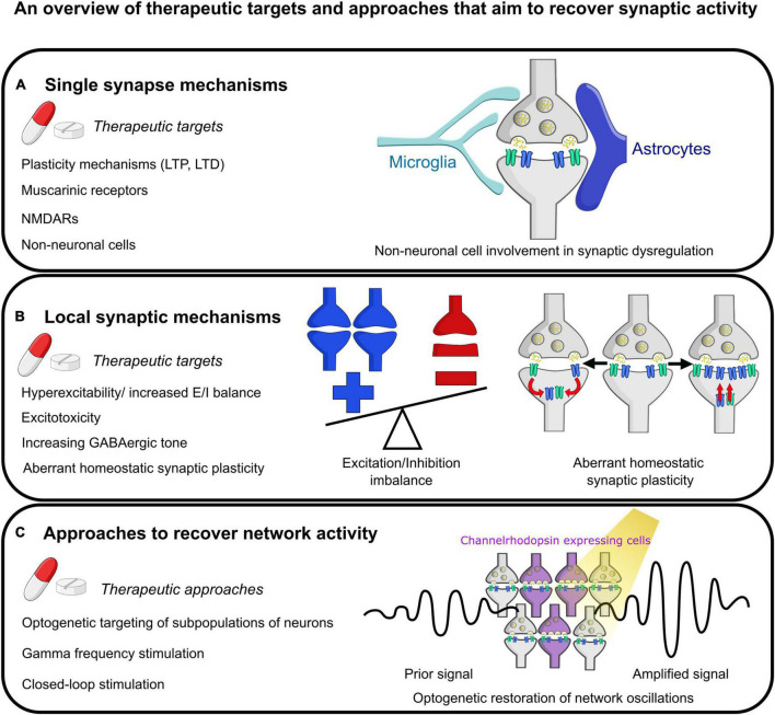 Alzheimer's disease as a synaptopathy: Evidence for dysfunction of synapses during disease progression.