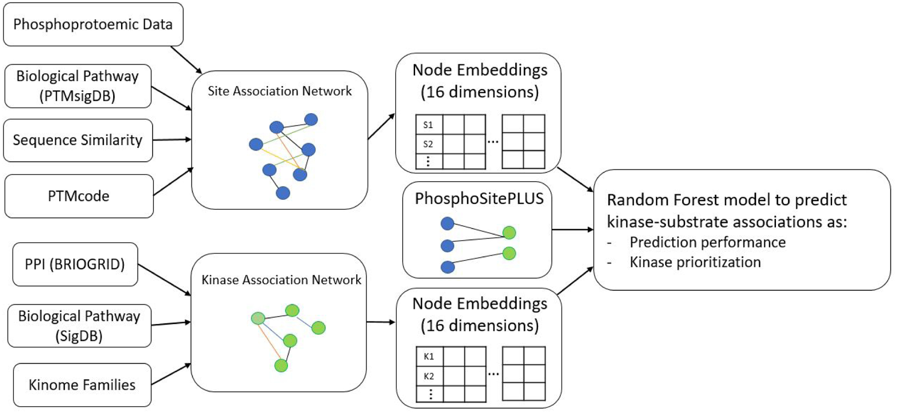 Prediction of Kinase-Substrate Associations Using The Functional Landscape of Kinases and Phosphorylation Sites.