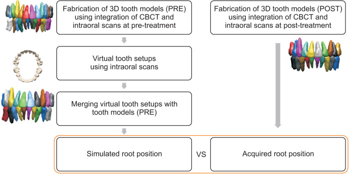 Consideration of root position in virtual tooth setup for extraction treatment: A comparative study of simulated and actual treatment results.