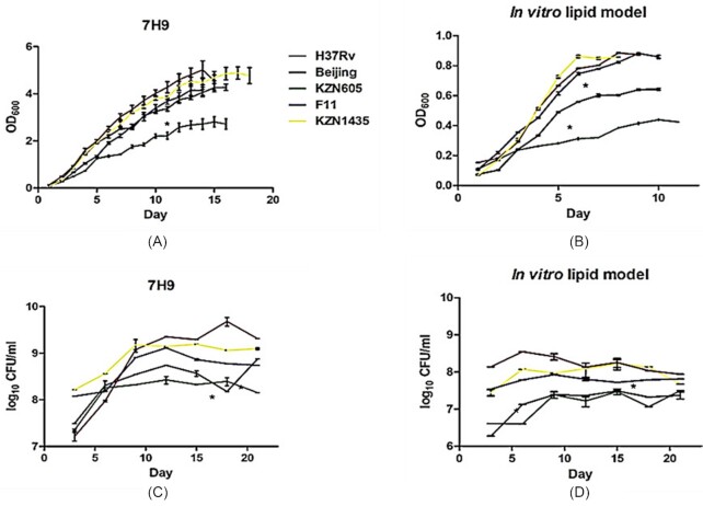 Clinical strains of Mycobacterium tuberculosis exhibit differential lipid metabolism-associated transcriptome changes in in vitro cholesterol and infection models.