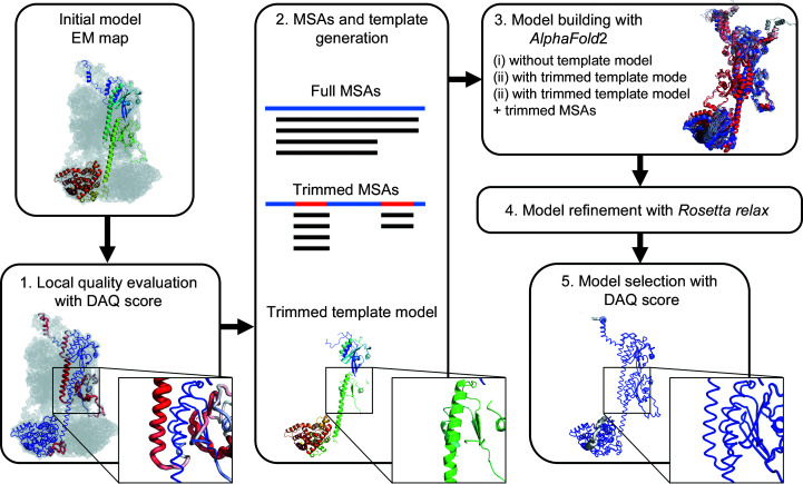 Protein model refinement for cryo-EM maps using AlphaFold2 and the DAQ score.